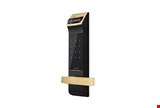 قفل دیجیتالی Gateman مدلF100-F